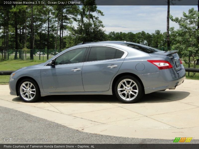 Ocean Gray / Charcoal 2010 Nissan Maxima 3.5 SV