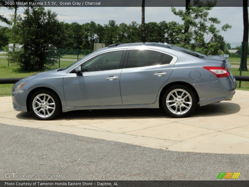 Ocean Gray / Charcoal 2010 Nissan Maxima 3.5 SV