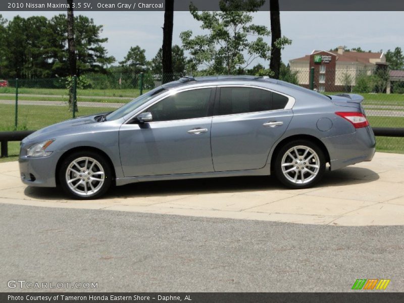 Ocean Gray / Charcoal 2010 Nissan Maxima 3.5 SV