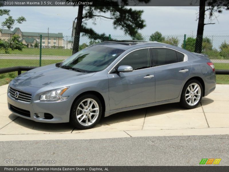 Ocean Gray / Charcoal 2010 Nissan Maxima 3.5 SV