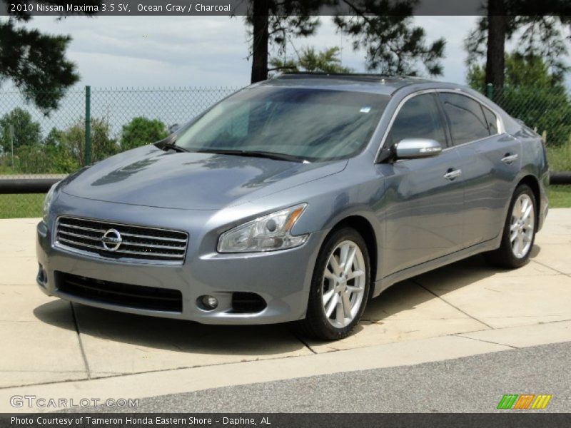 Ocean Gray / Charcoal 2010 Nissan Maxima 3.5 SV