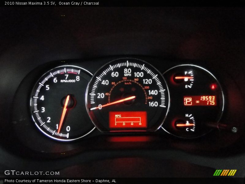 Ocean Gray / Charcoal 2010 Nissan Maxima 3.5 SV