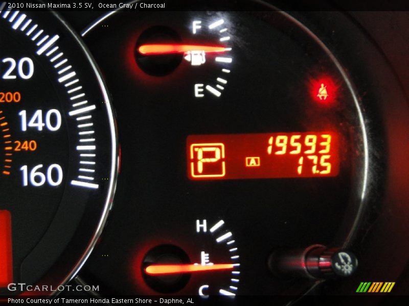 Ocean Gray / Charcoal 2010 Nissan Maxima 3.5 SV