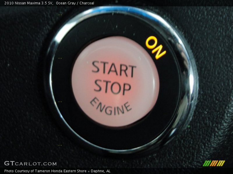 Ocean Gray / Charcoal 2010 Nissan Maxima 3.5 SV