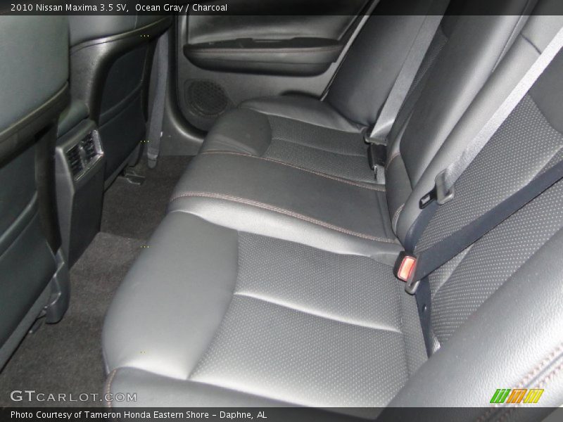 Ocean Gray / Charcoal 2010 Nissan Maxima 3.5 SV