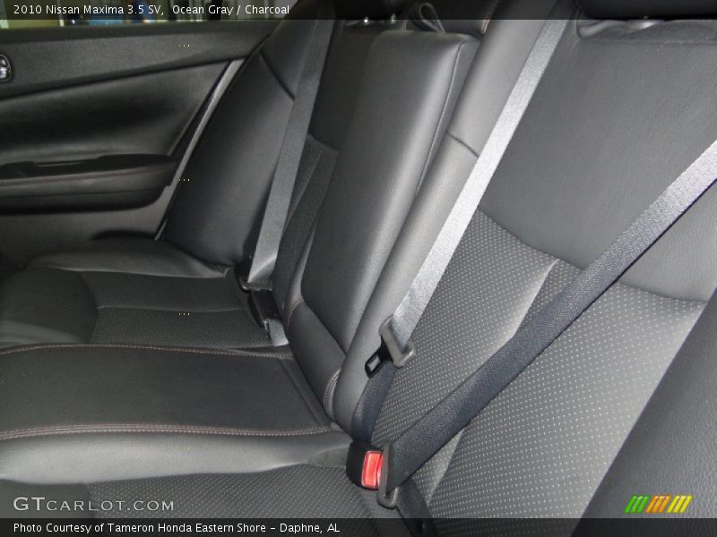 Ocean Gray / Charcoal 2010 Nissan Maxima 3.5 SV