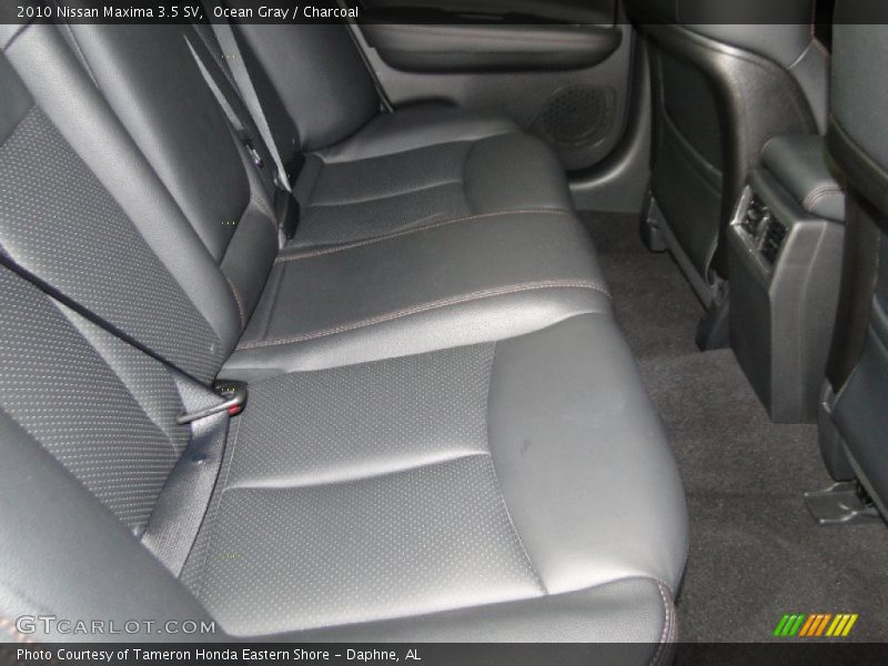 Ocean Gray / Charcoal 2010 Nissan Maxima 3.5 SV