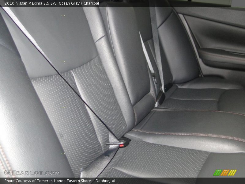 Ocean Gray / Charcoal 2010 Nissan Maxima 3.5 SV