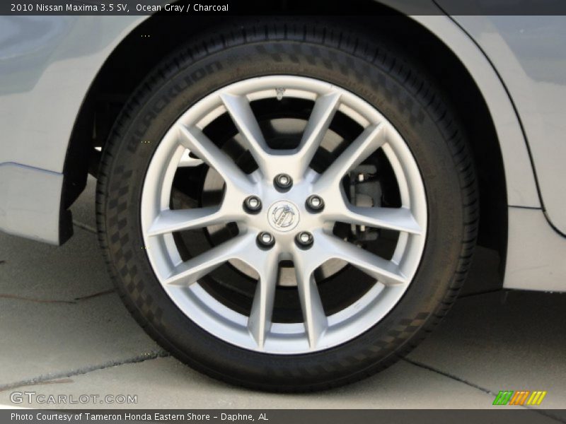 Ocean Gray / Charcoal 2010 Nissan Maxima 3.5 SV