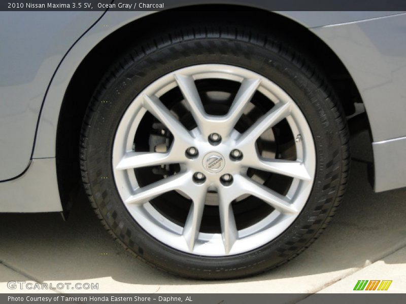 Ocean Gray / Charcoal 2010 Nissan Maxima 3.5 SV
