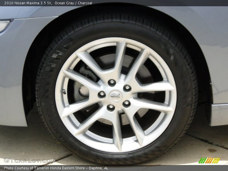 Ocean Gray / Charcoal 2010 Nissan Maxima 3.5 SV