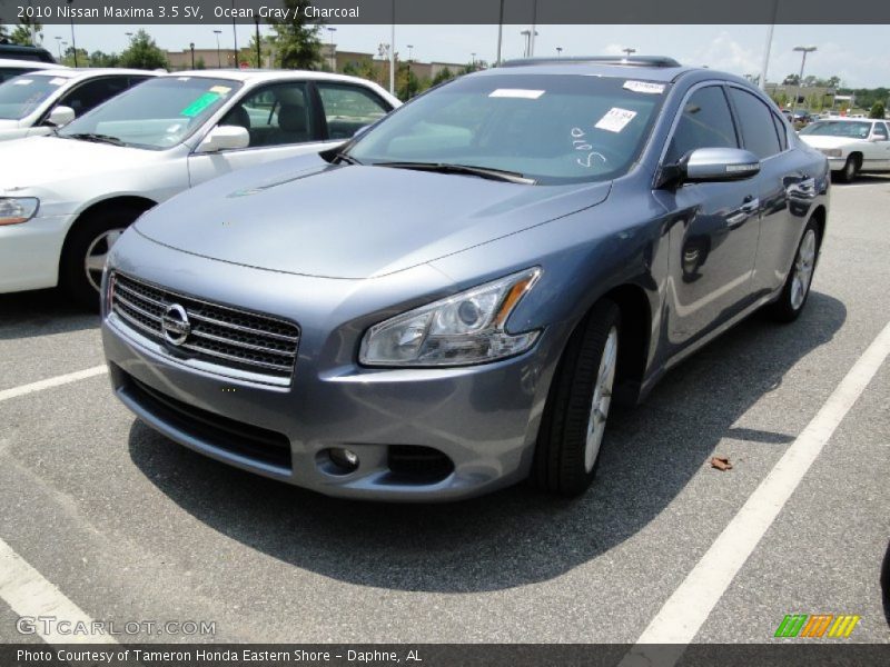Ocean Gray / Charcoal 2010 Nissan Maxima 3.5 SV