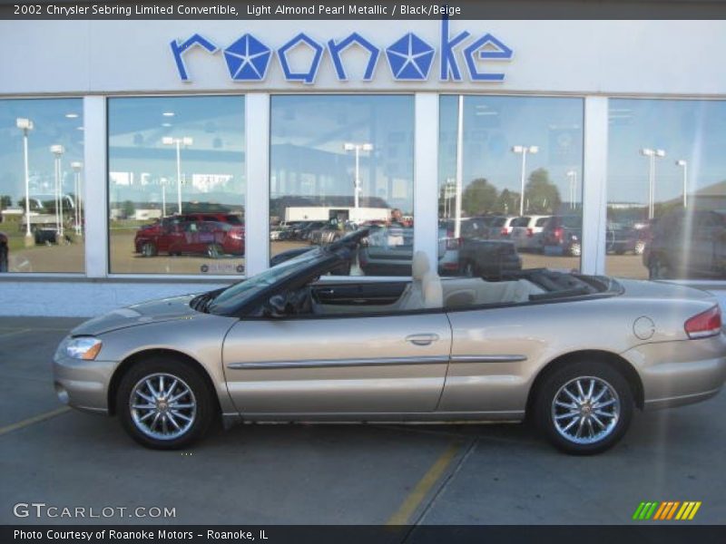 Light Almond Pearl Metallic / Black/Beige 2002 Chrysler Sebring Limited Convertible