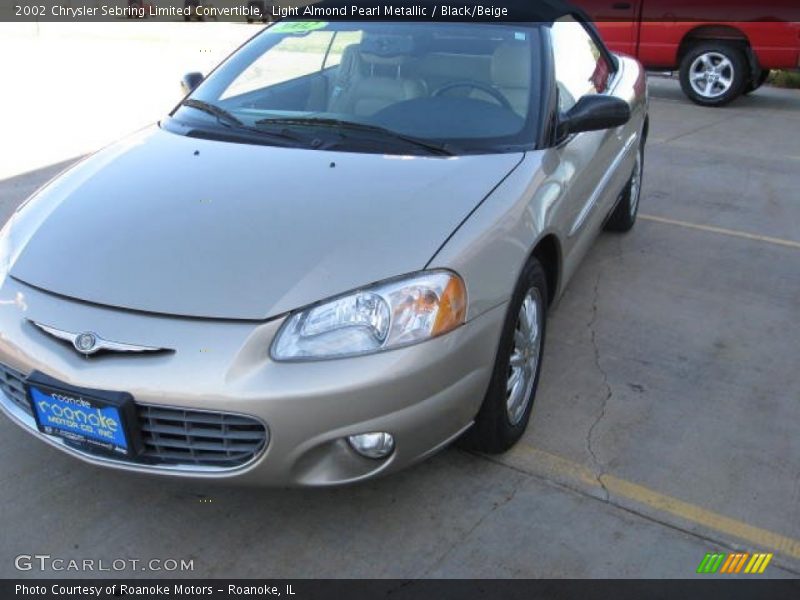 Light Almond Pearl Metallic / Black/Beige 2002 Chrysler Sebring Limited Convertible