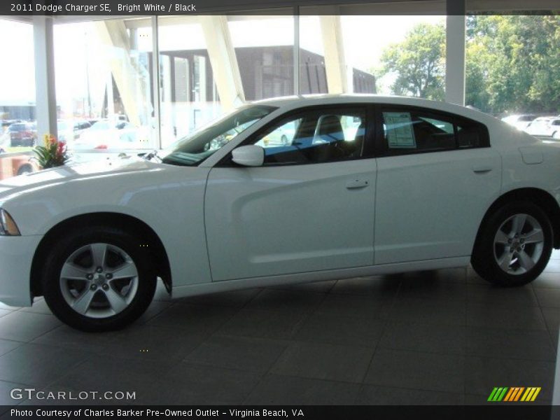 Bright White / Black 2011 Dodge Charger SE