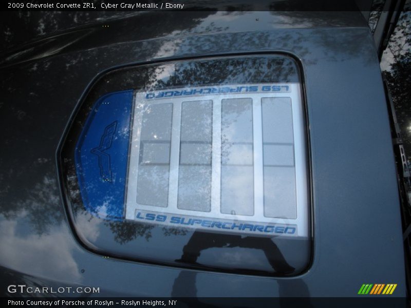 Clear panel hood - 2009 Chevrolet Corvette ZR1
