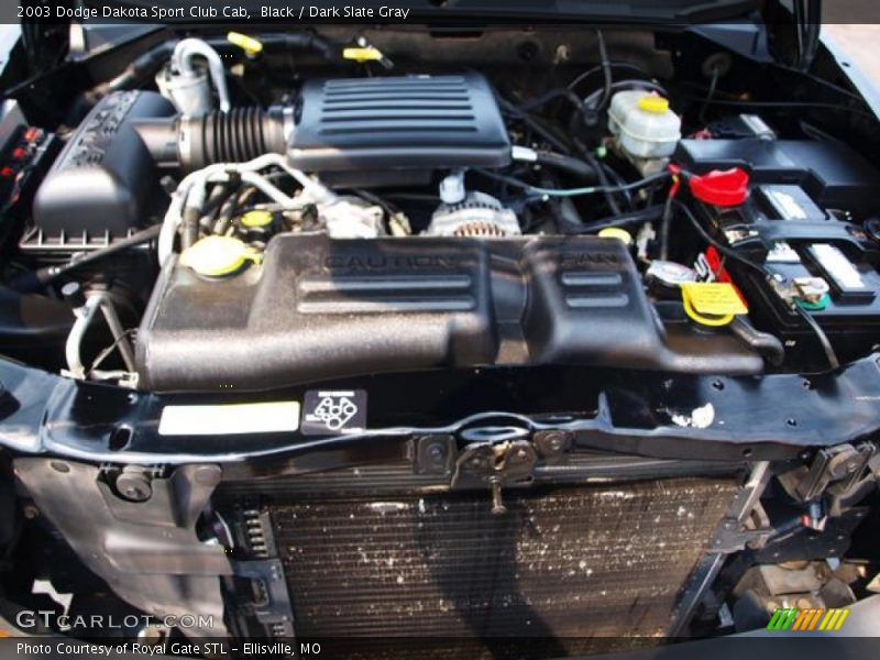 Black / Dark Slate Gray 2003 Dodge Dakota Sport Club Cab