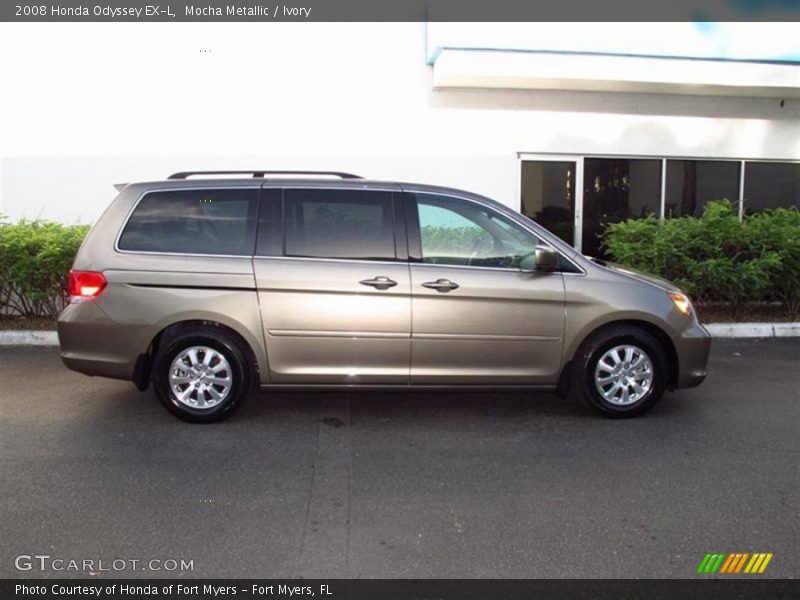 Mocha Metallic / Ivory 2008 Honda Odyssey EX-L