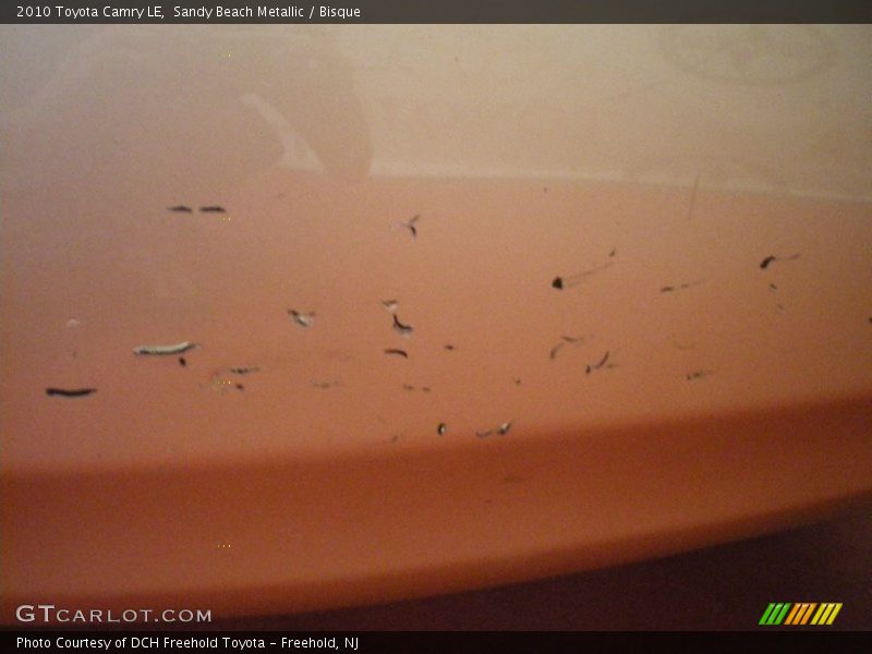 Sandy Beach Metallic / Bisque 2010 Toyota Camry LE