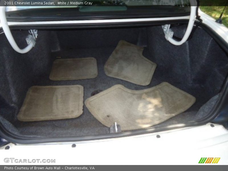  2001 Lumina Sedan Trunk