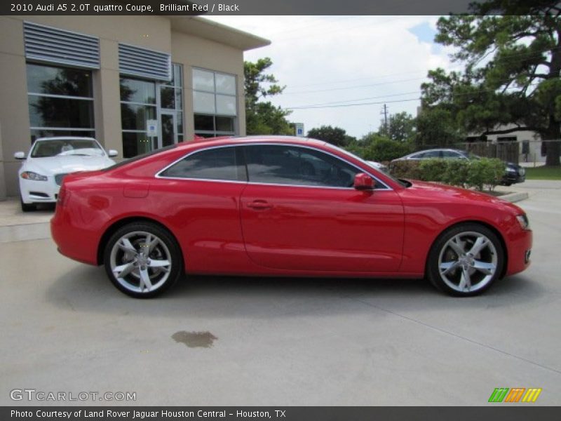 Brilliant Red / Black 2010 Audi A5 2.0T quattro Coupe