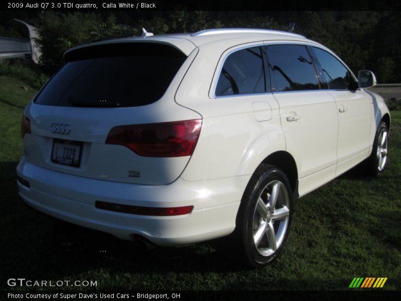 Calla White / Black 2009 Audi Q7 3.0 TDI quattro