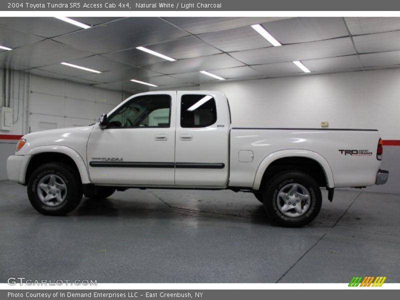 Natural White / Light Charcoal 2004 Toyota Tundra SR5 Access Cab 4x4