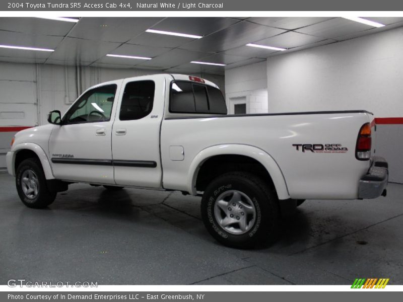 Natural White / Light Charcoal 2004 Toyota Tundra SR5 Access Cab 4x4