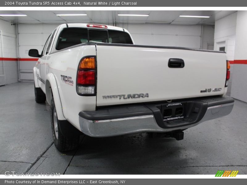 Natural White / Light Charcoal 2004 Toyota Tundra SR5 Access Cab 4x4