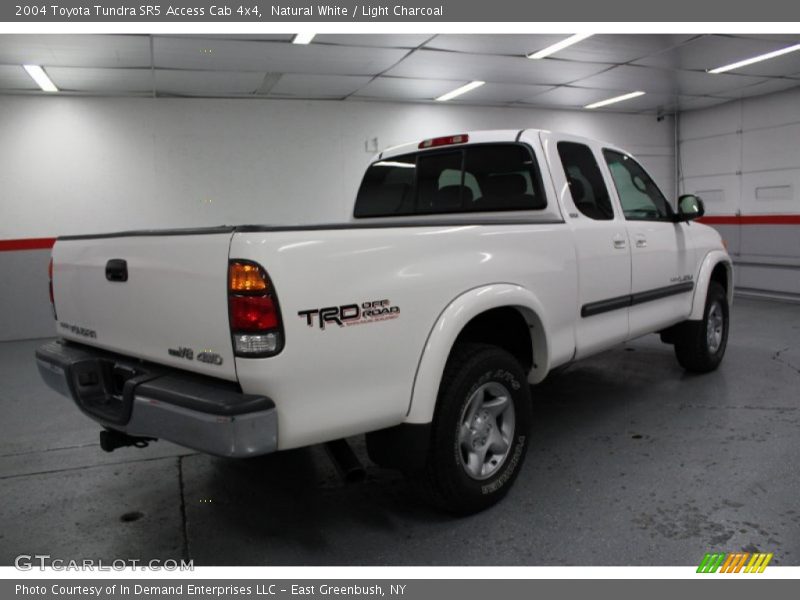 Natural White / Light Charcoal 2004 Toyota Tundra SR5 Access Cab 4x4