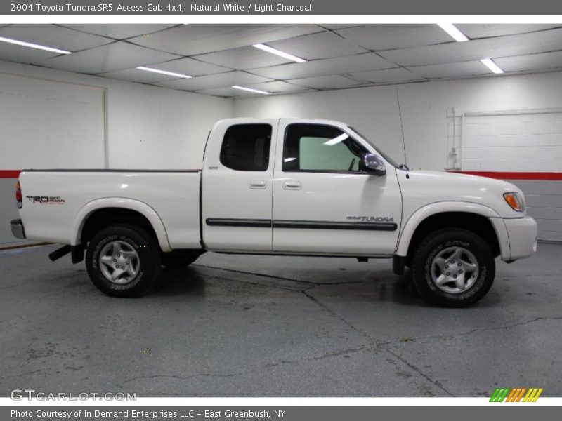 Natural White / Light Charcoal 2004 Toyota Tundra SR5 Access Cab 4x4