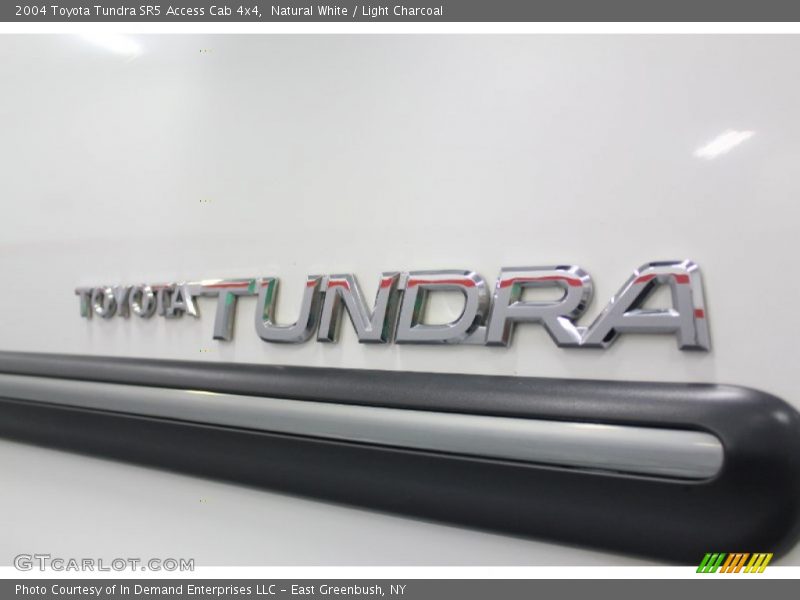 Natural White / Light Charcoal 2004 Toyota Tundra SR5 Access Cab 4x4