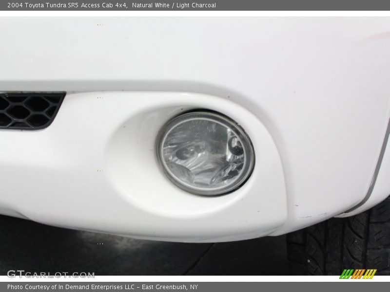 Natural White / Light Charcoal 2004 Toyota Tundra SR5 Access Cab 4x4
