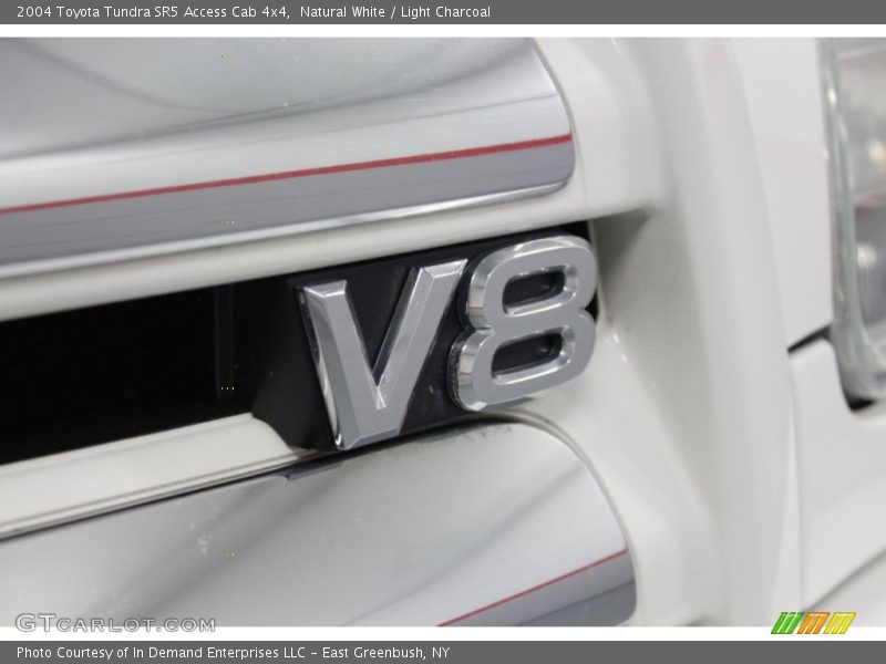 Natural White / Light Charcoal 2004 Toyota Tundra SR5 Access Cab 4x4