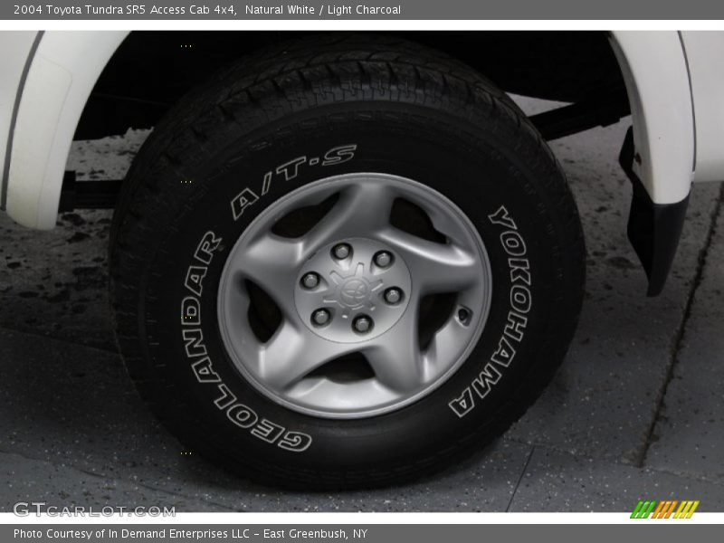 Natural White / Light Charcoal 2004 Toyota Tundra SR5 Access Cab 4x4