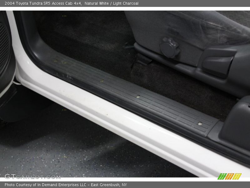 Natural White / Light Charcoal 2004 Toyota Tundra SR5 Access Cab 4x4