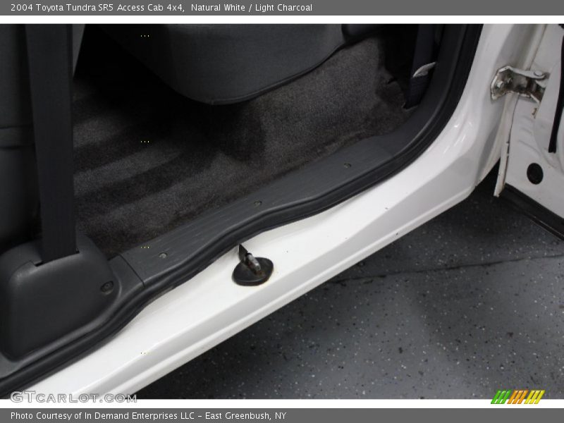 Natural White / Light Charcoal 2004 Toyota Tundra SR5 Access Cab 4x4