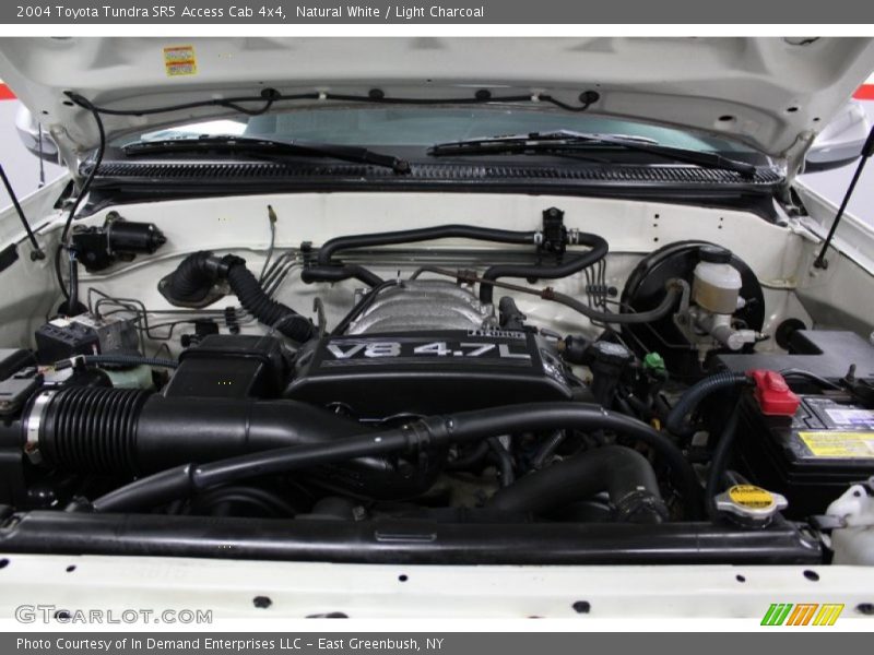 Natural White / Light Charcoal 2004 Toyota Tundra SR5 Access Cab 4x4
