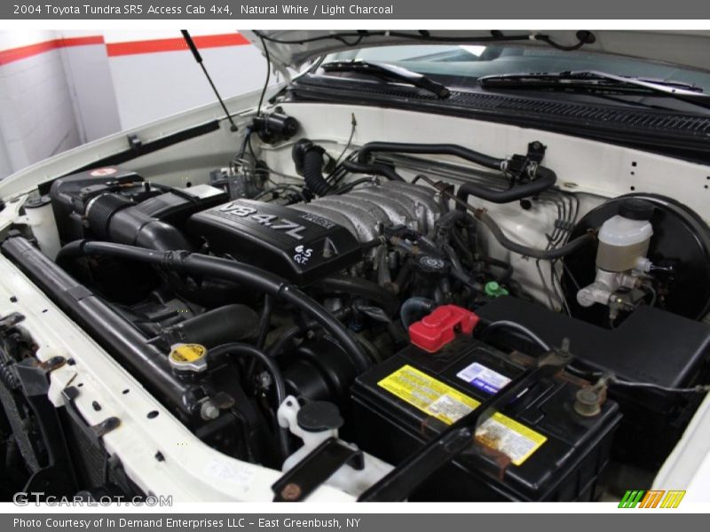 Natural White / Light Charcoal 2004 Toyota Tundra SR5 Access Cab 4x4