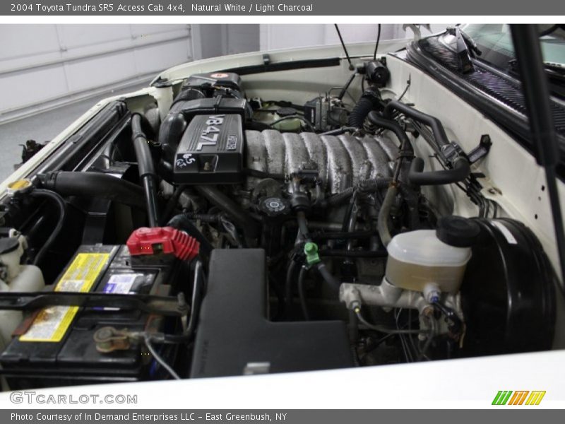 Natural White / Light Charcoal 2004 Toyota Tundra SR5 Access Cab 4x4