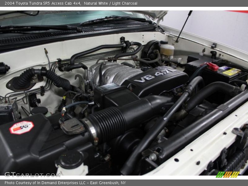 Natural White / Light Charcoal 2004 Toyota Tundra SR5 Access Cab 4x4