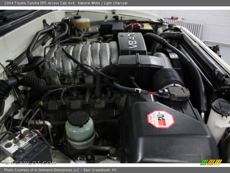 Natural White / Light Charcoal 2004 Toyota Tundra SR5 Access Cab 4x4
