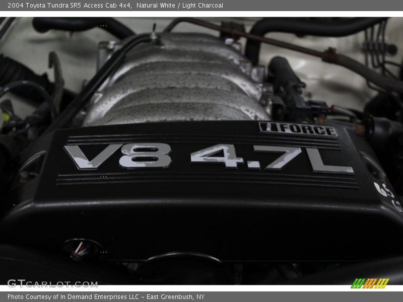 Natural White / Light Charcoal 2004 Toyota Tundra SR5 Access Cab 4x4