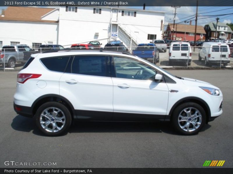 Oxford White / Charcoal Black 2013 Ford Escape SE 1.6L EcoBoost 4WD