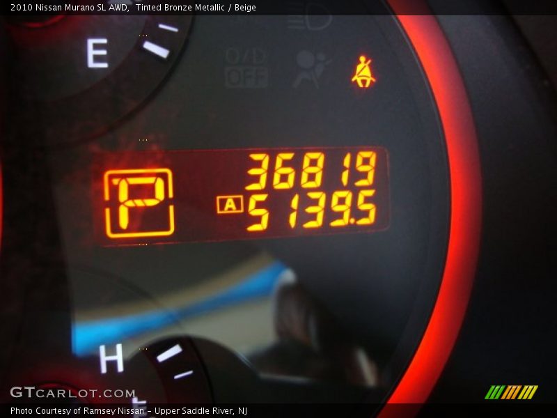 Tinted Bronze Metallic / Beige 2010 Nissan Murano SL AWD