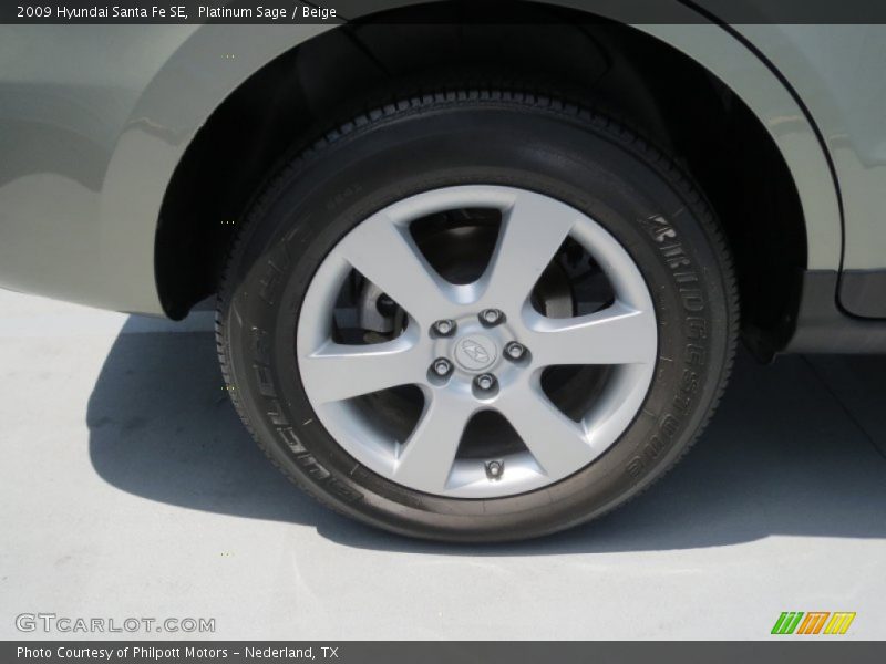 Platinum Sage / Beige 2009 Hyundai Santa Fe SE