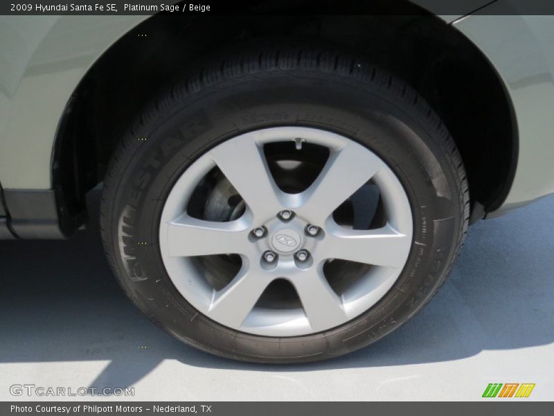 Platinum Sage / Beige 2009 Hyundai Santa Fe SE