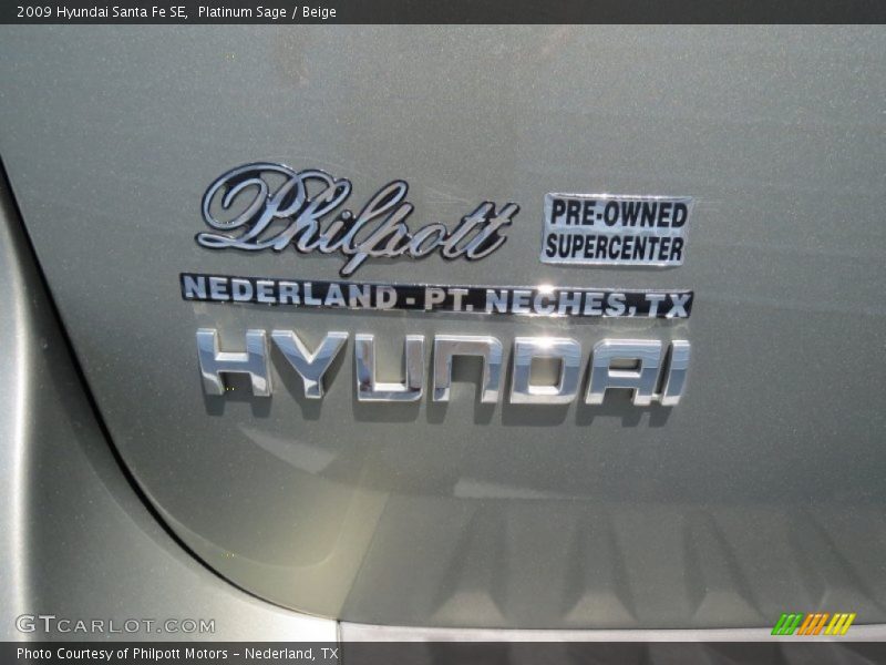Platinum Sage / Beige 2009 Hyundai Santa Fe SE