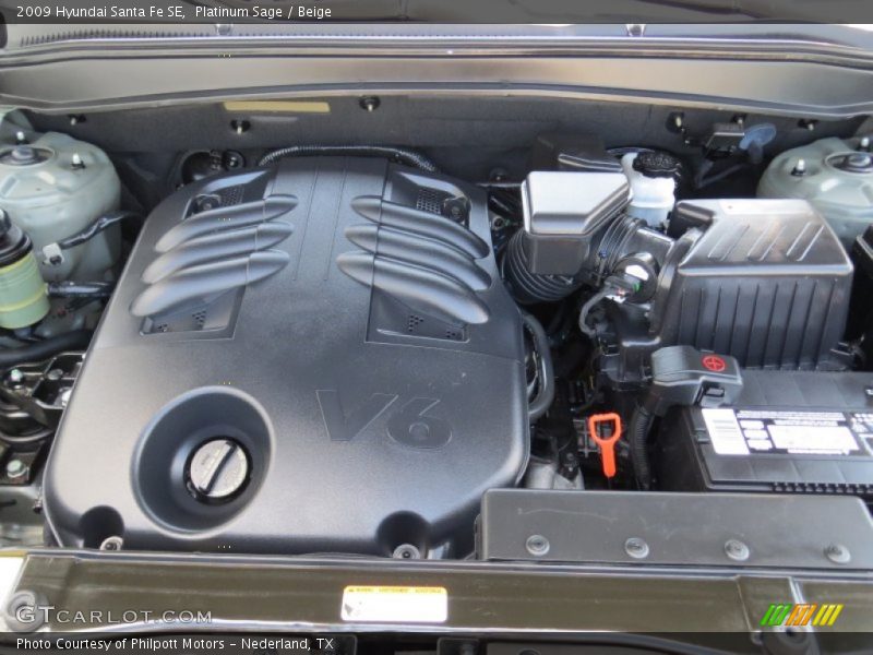 Platinum Sage / Beige 2009 Hyundai Santa Fe SE