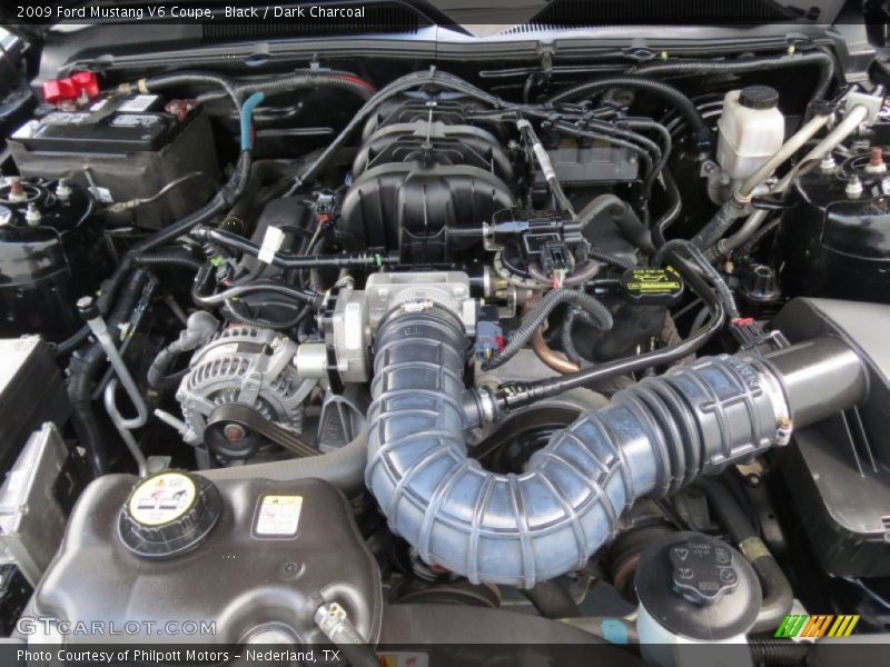 Black / Dark Charcoal 2009 Ford Mustang V6 Coupe
